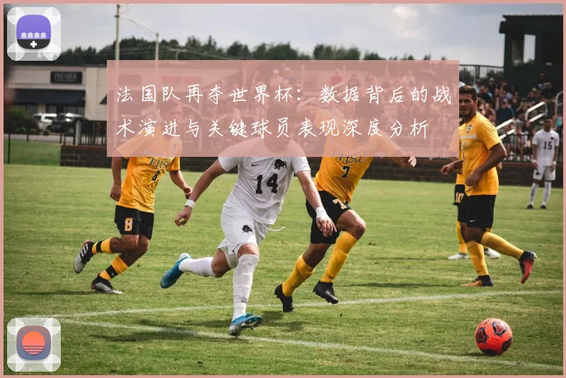 法国队再夺世界杯:数据背后的战术演进与关键球员表现深度分析