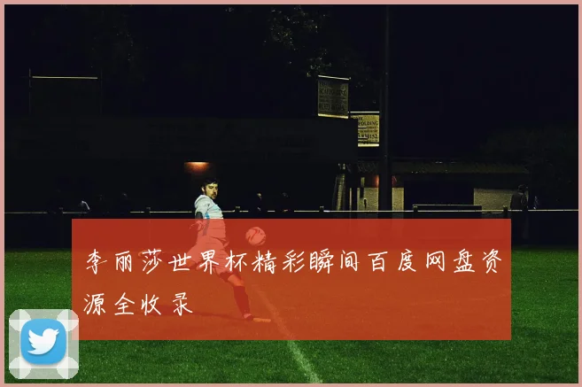 李丽莎世界杯精彩瞬间百度网盘资源全收录