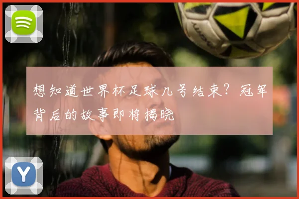 想知道世界杯足球几号结束?冠军背后的故事即将揭晓
